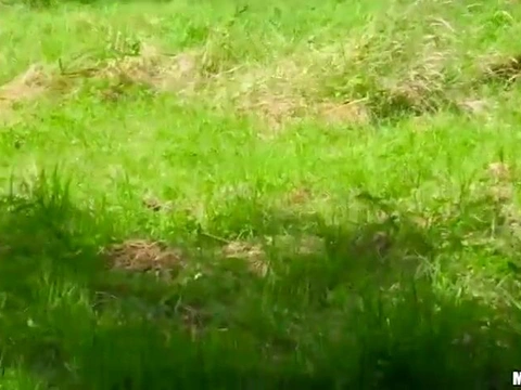 Бывшая модель эротического жанра показала местному фотографу попу и занялась сексом на природе