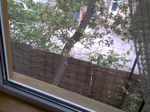Кончил на очки своей малышки после сочного домашнего минета